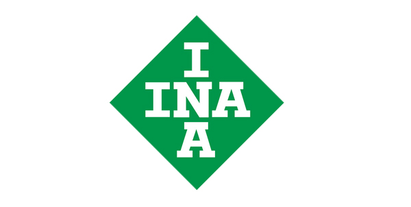 INA Rolamentos